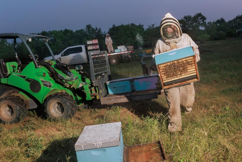 Honey Bees Unlimited co founder and beekeeper Gary Barber moves hives as they prepare deliveries for the night in their apiary in Gainesville on May 24, 2024.